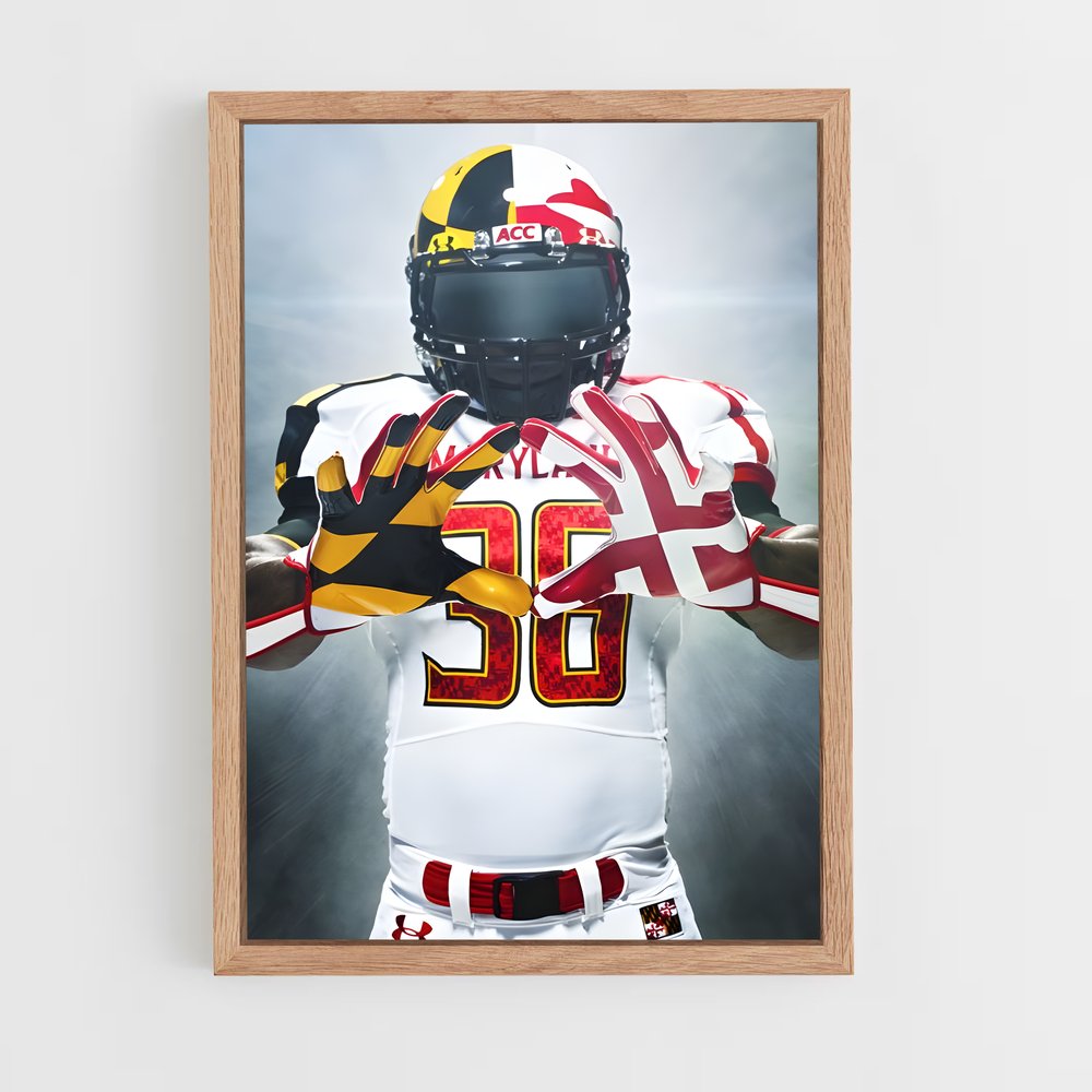 ap-maryland terrapins-2 cadre Bois clair