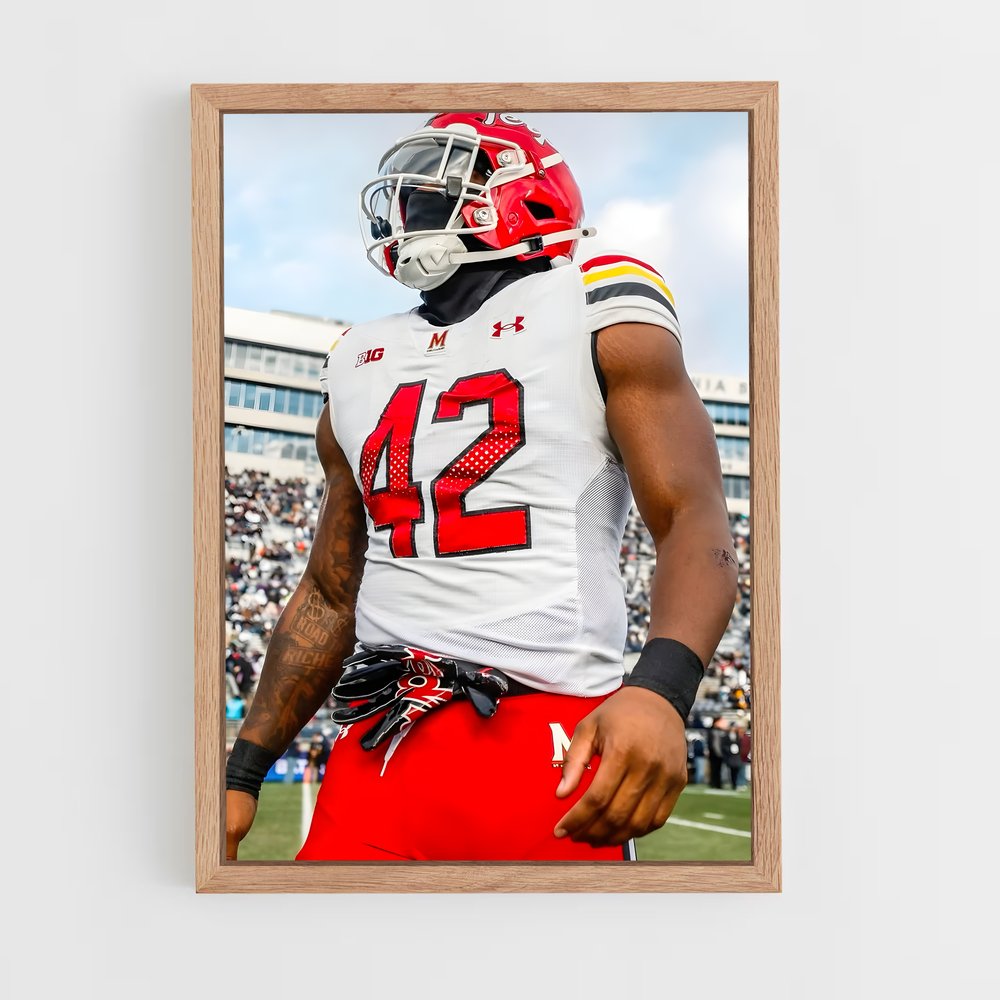 ap-maryland terrapins-3 cadre Bois clair