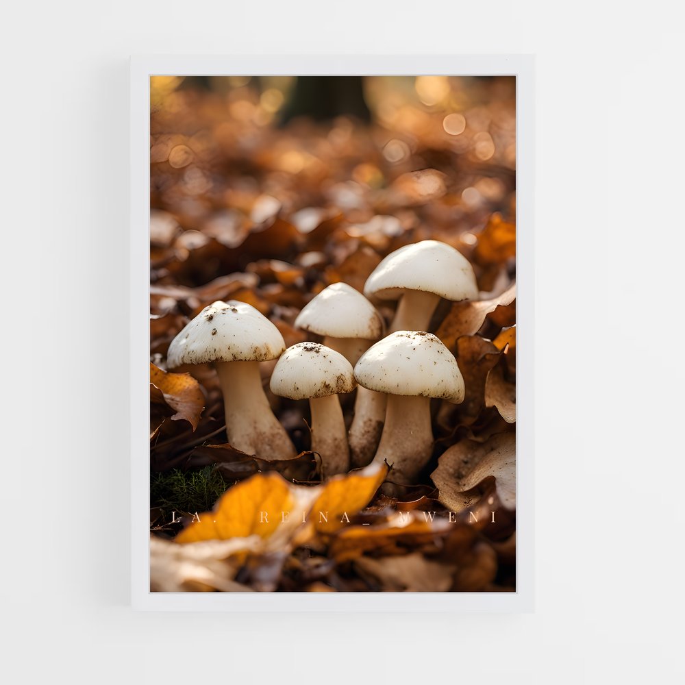ap-matsutake-1 cadre Blanc