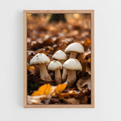 ap-matsutake-1 cadre Bois clair