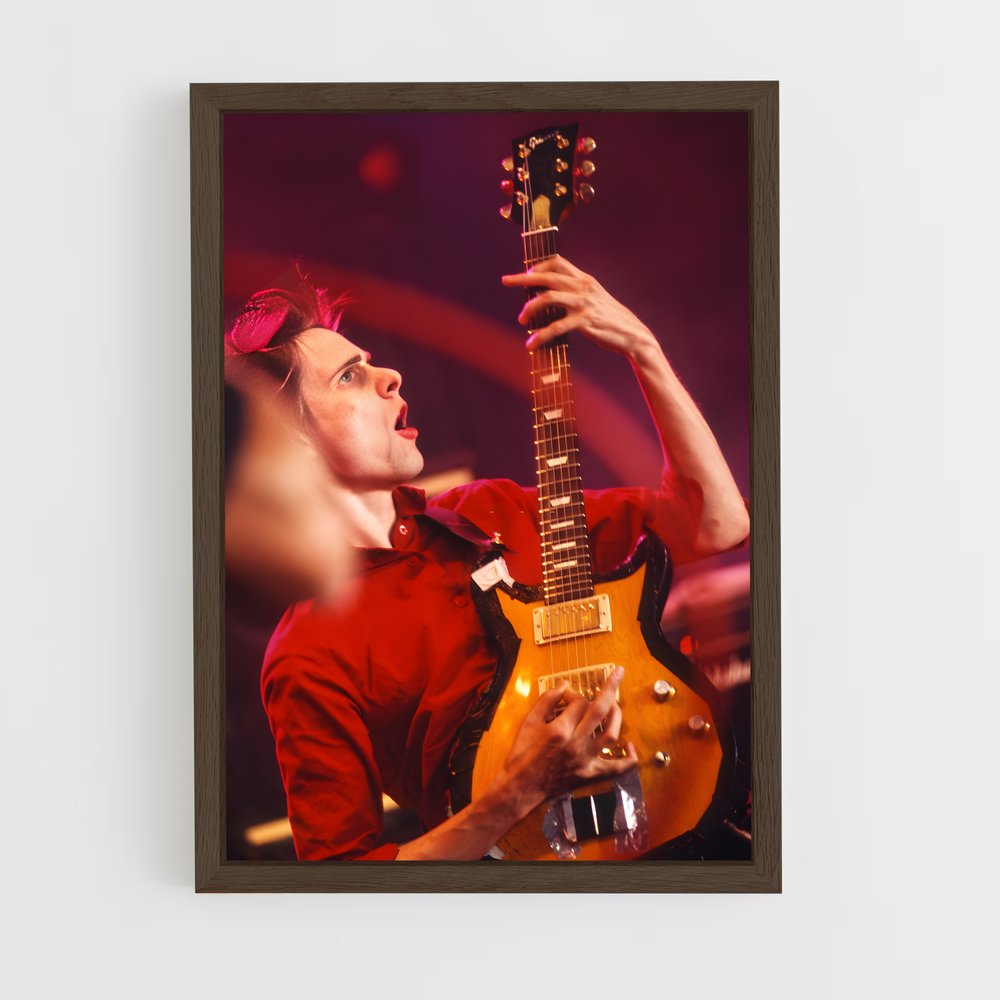 ap-matt bellamy-3 cadre Bois foncé