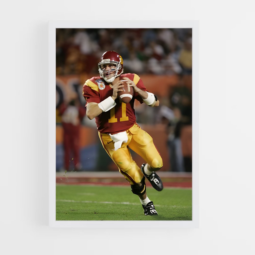ap-matt leinart-2 cadre Blanc