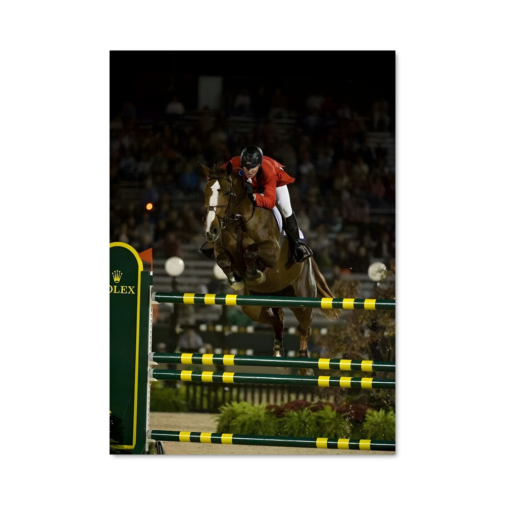 Poster Mclain ward 67384