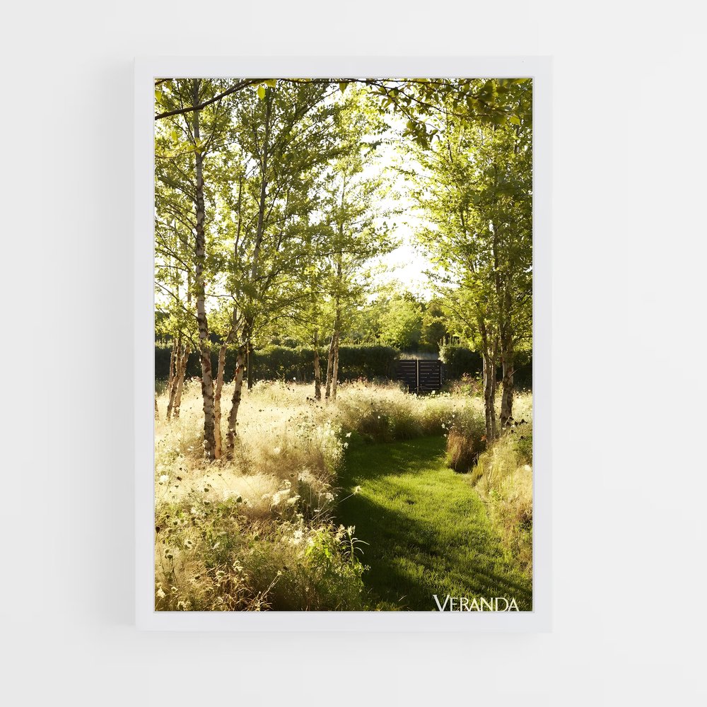 ap-meadow-4 cadre Blanc