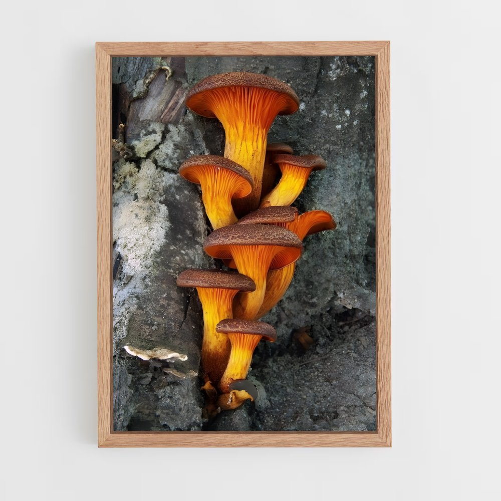 ap-meadow mushroom-1 cadre Bois clair