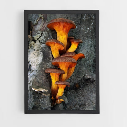 ap-meadow mushroom-1 cadre Noir