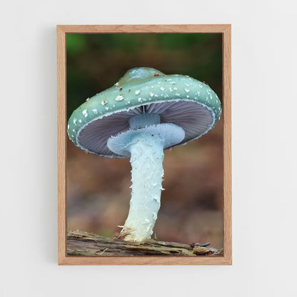 ap-meadow mushroom-2 cadre Bois clair
