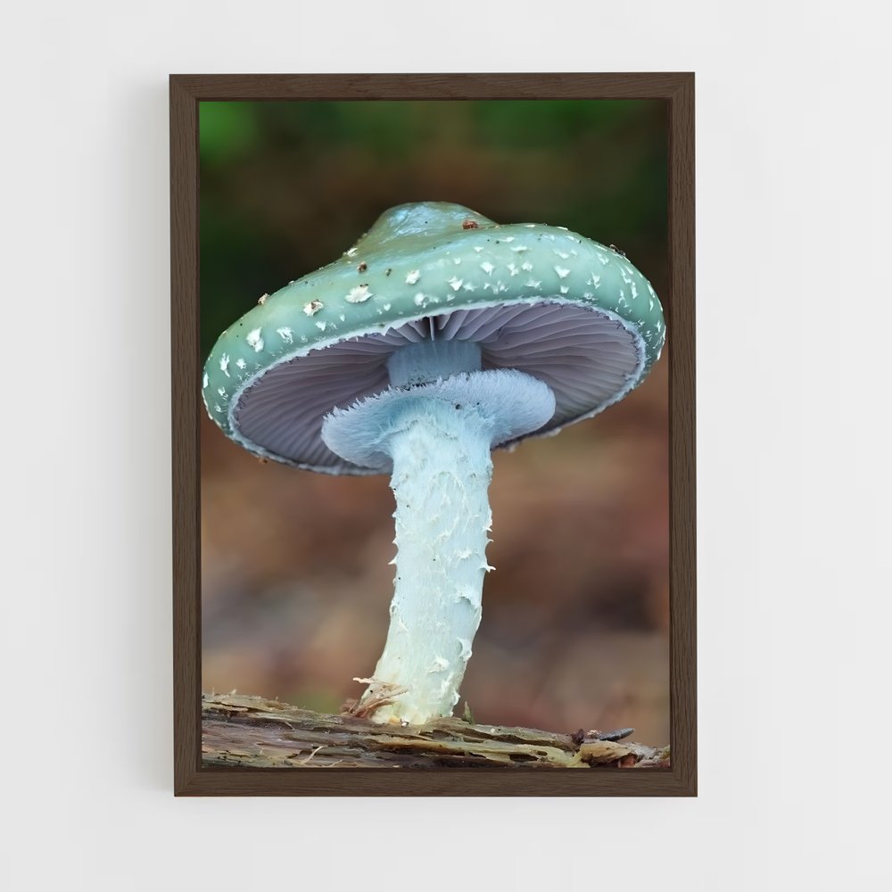ap-meadow mushroom-2 cadre Bois foncé