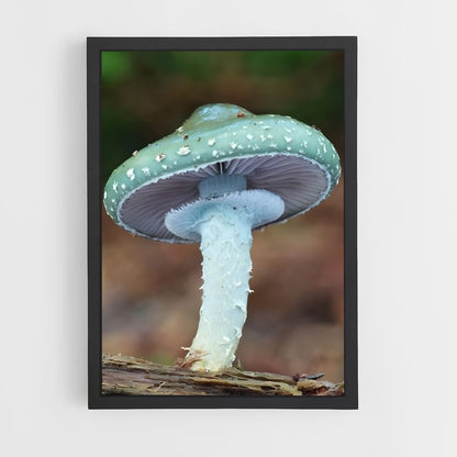 ap-meadow mushroom-2 cadre Noir