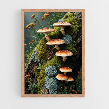 ap-meadow mushroom-3 cadre Bois clair