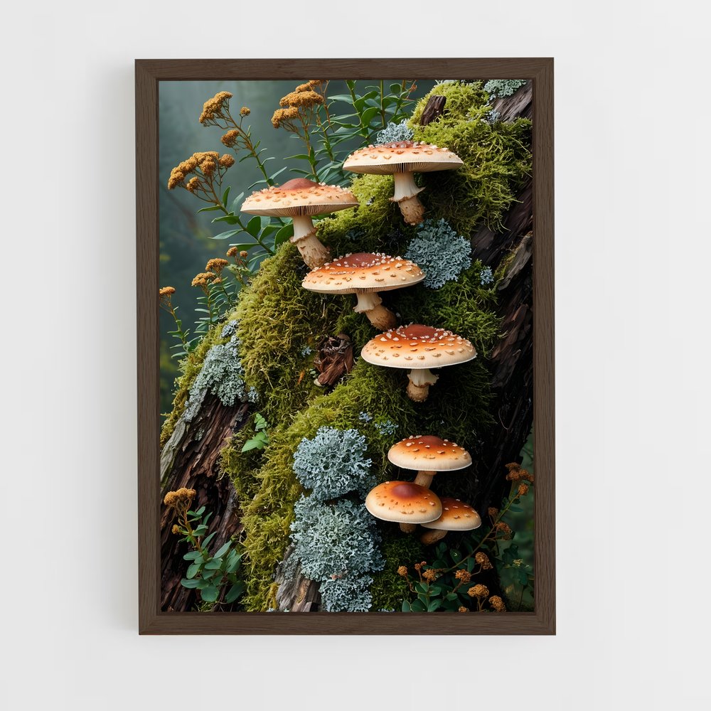 ap-meadow mushroom-3 cadre Bois foncé