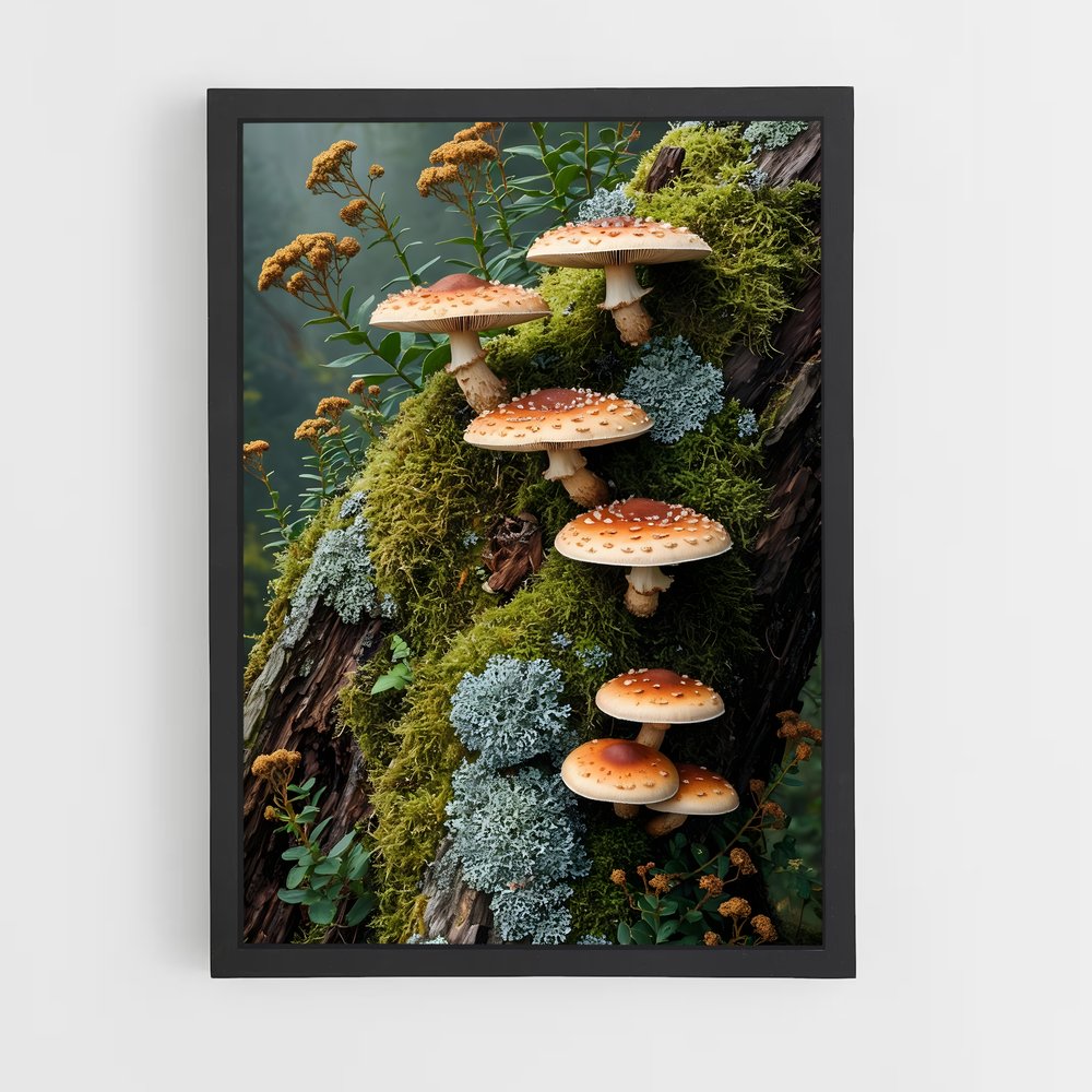 ap-meadow mushroom-3 cadre Noir