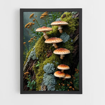 ap-meadow mushroom-3 cadre Noir