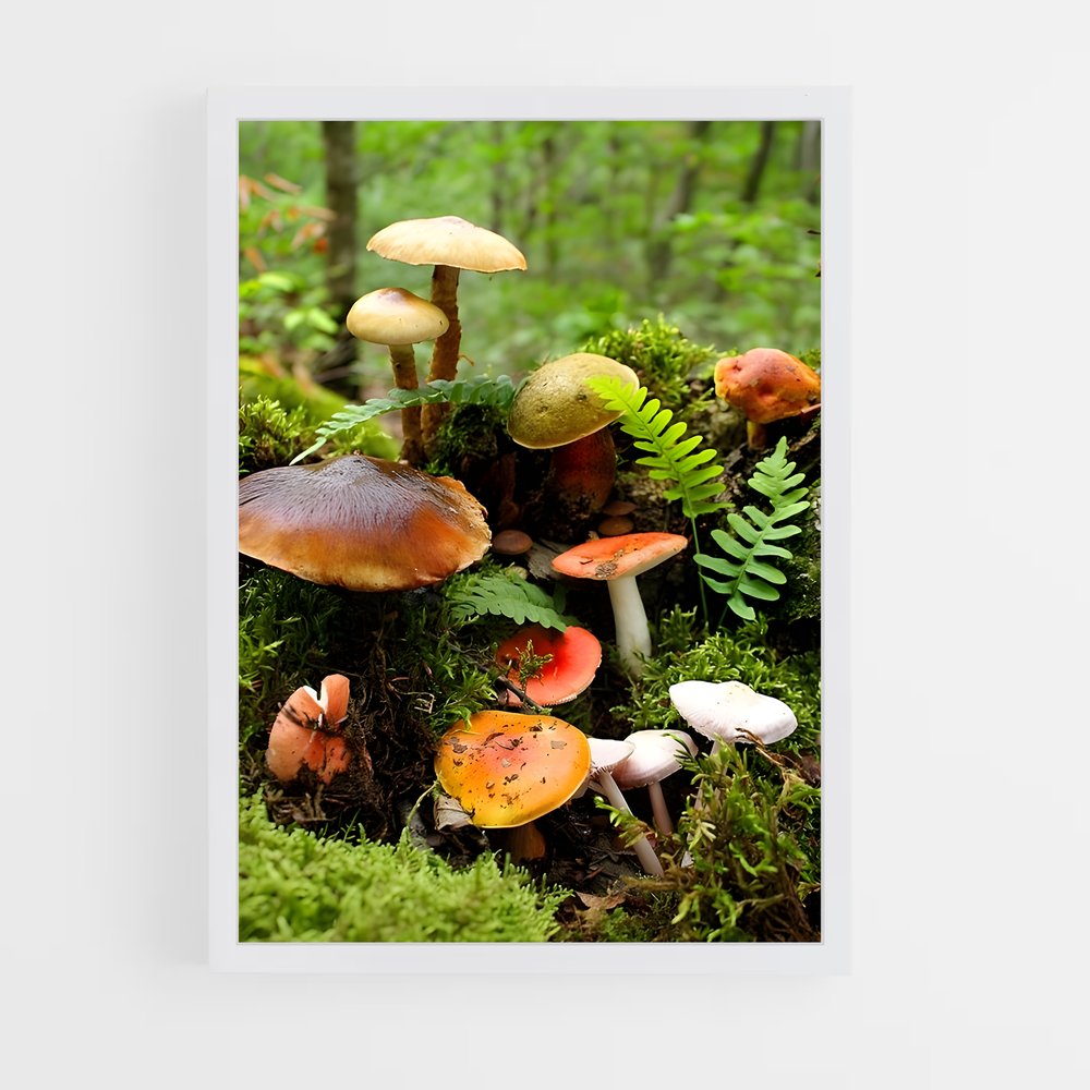 ap-meadow mushroom-5 cadre Blanc