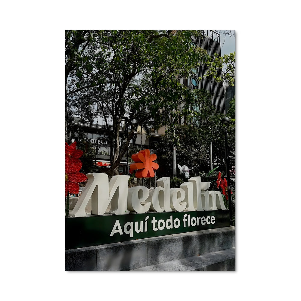 Poster Medellin Dreams