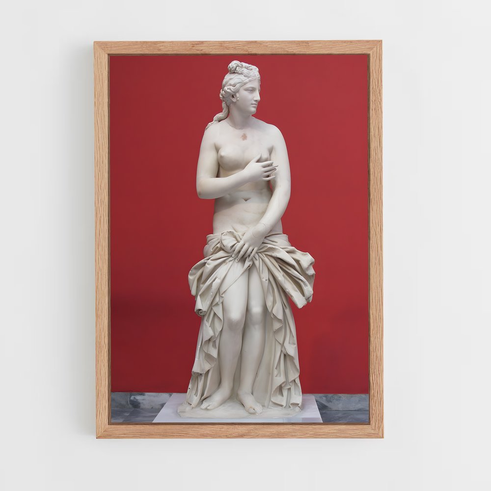 ap-medici venus-2 cadre Bois clair