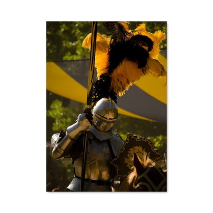 Poster Le Chevalier aux Plumes