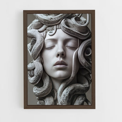 ap-medusa-5 cadre Bois foncé