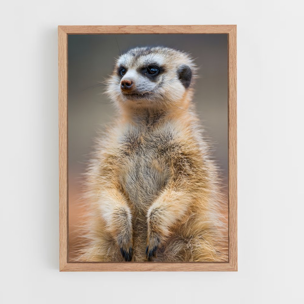 ap-meerkat-10 cadre Bois clair