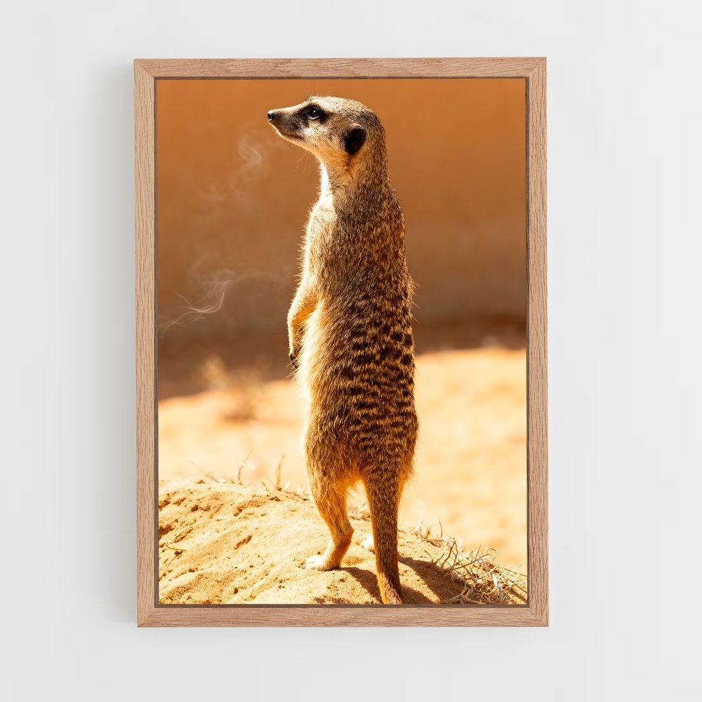 ap-meerkat-11 cadre Bois clair