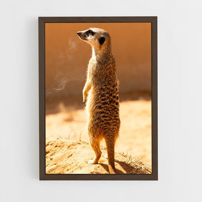 ap-meerkat-11 cadre Bois foncé
