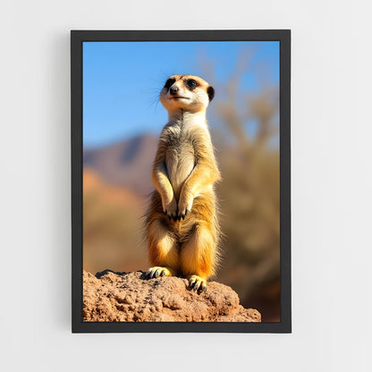 ap-meerkat-13 cadre Noir