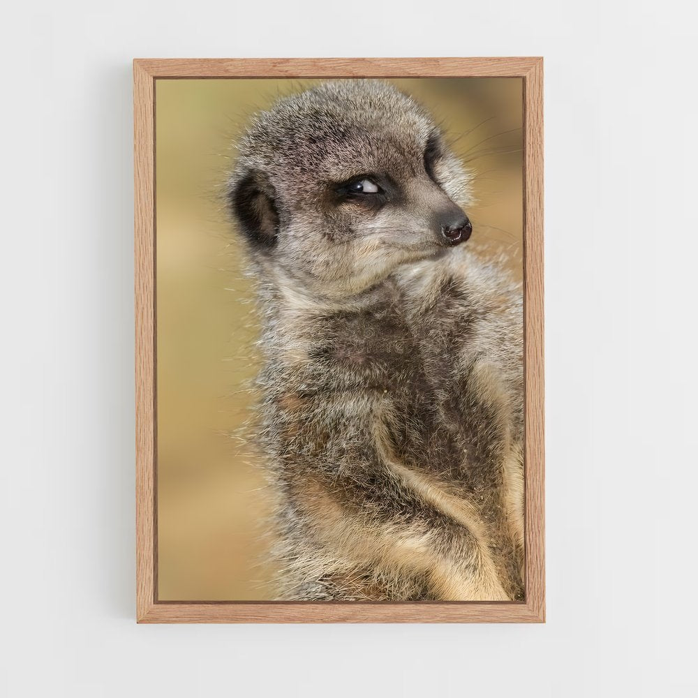 ap-meerkat-14 cadre Bois clair