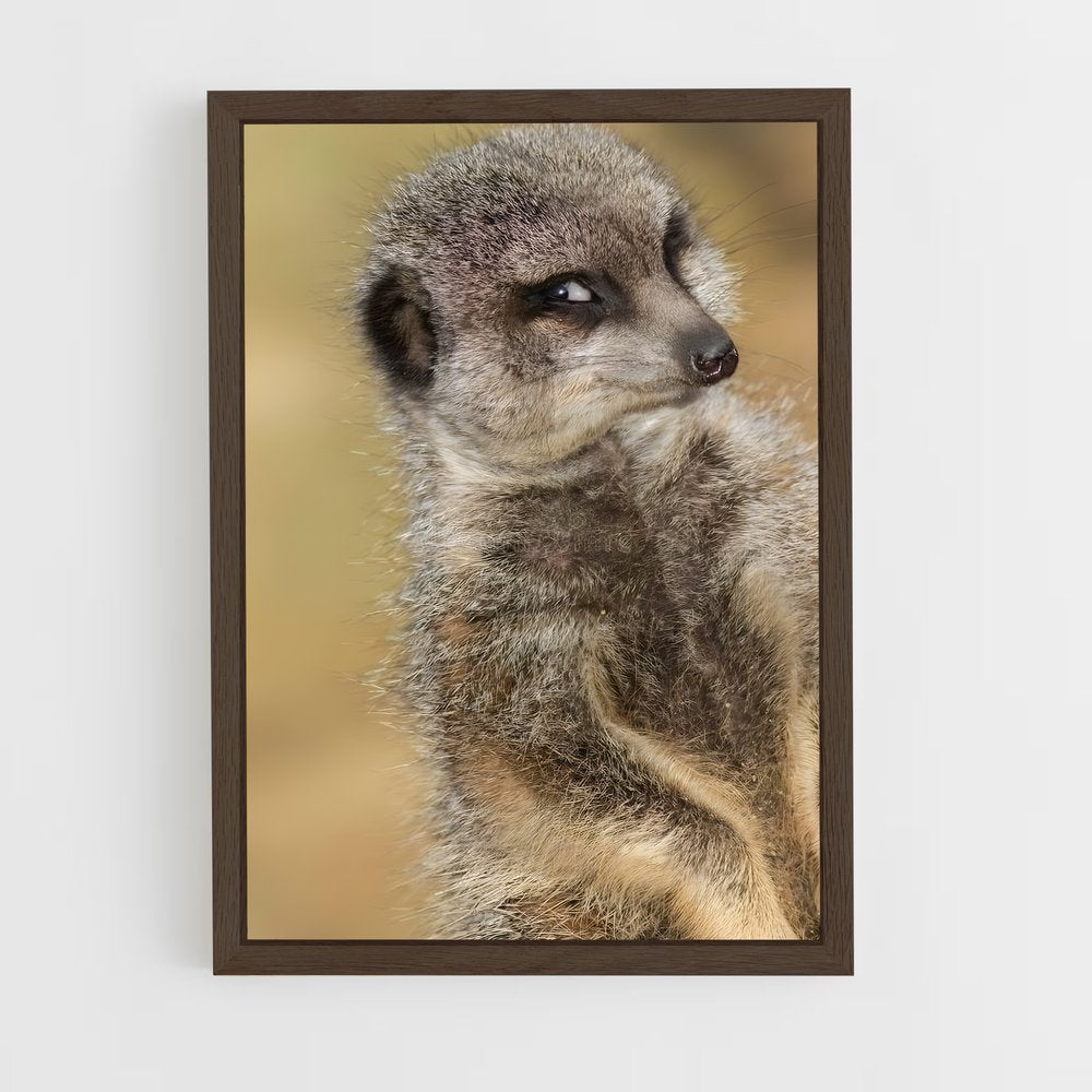 ap-meerkat-14 cadre Bois foncé