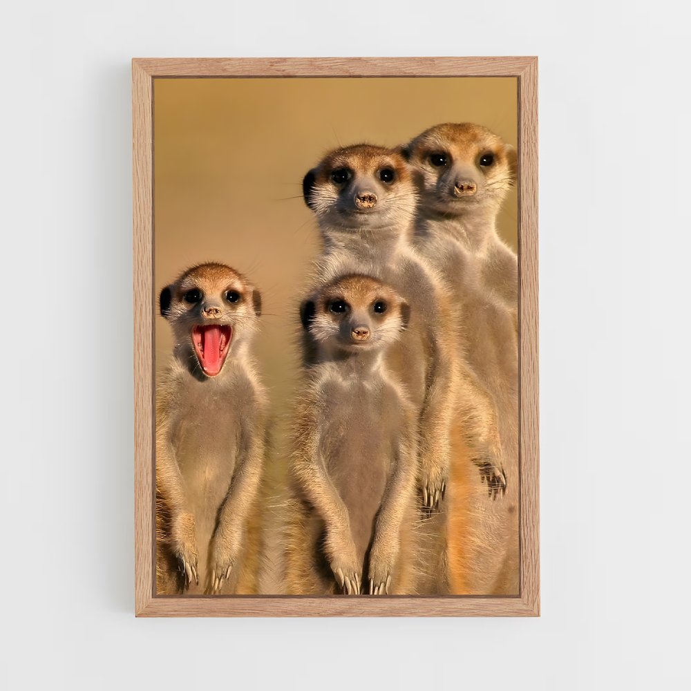 ap-meerkat-3 cadre Bois clair
