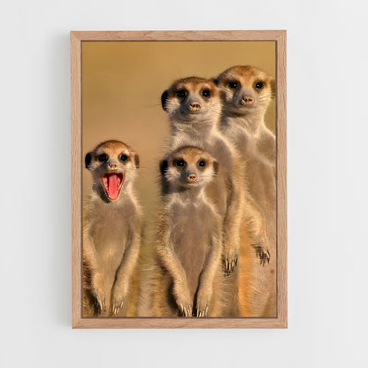 ap-meerkat-3 cadre Bois clair