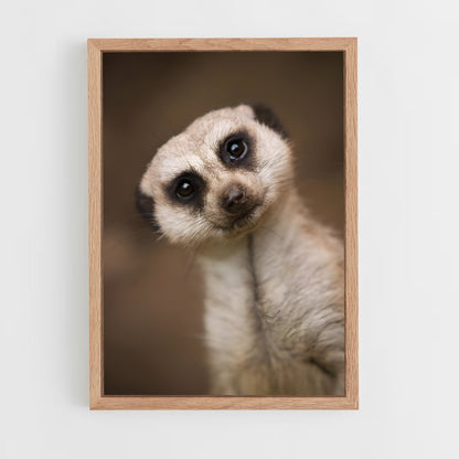 ap-meerkat-6 cadre Bois clair
