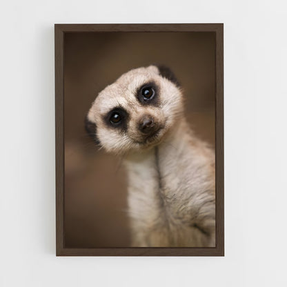 ap-meerkat-6 cadre Bois foncé