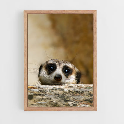 ap-meerkat-9 cadre Bois clair