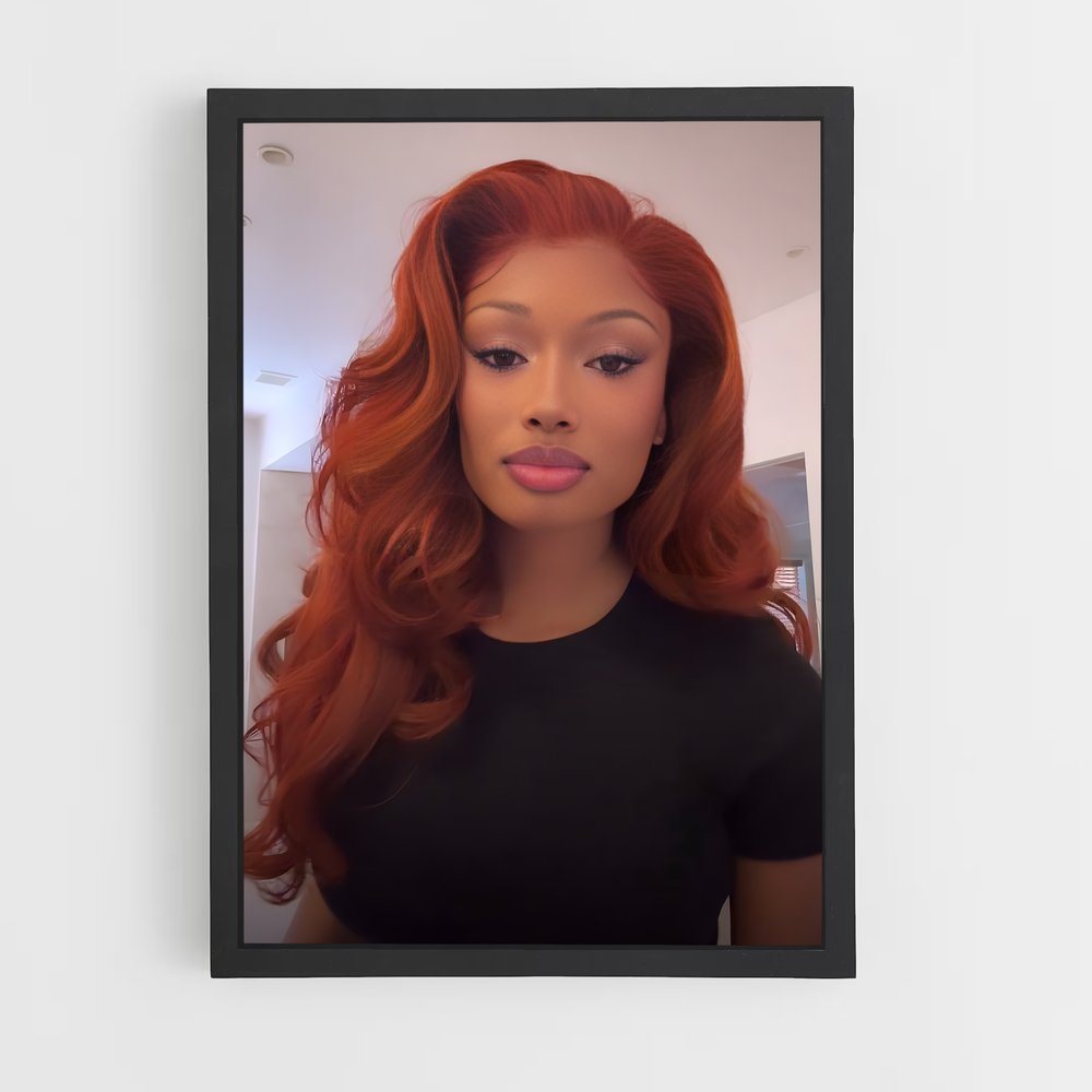 ap-megan thee stallion-4 cadre Noir