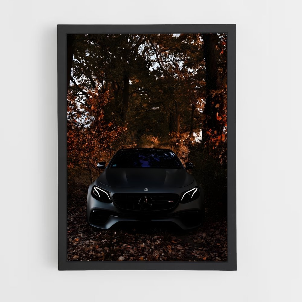 ap-mercedes-7 cadre Noir