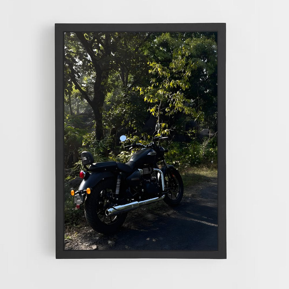 ap-meteor 350-3 cadre Noir