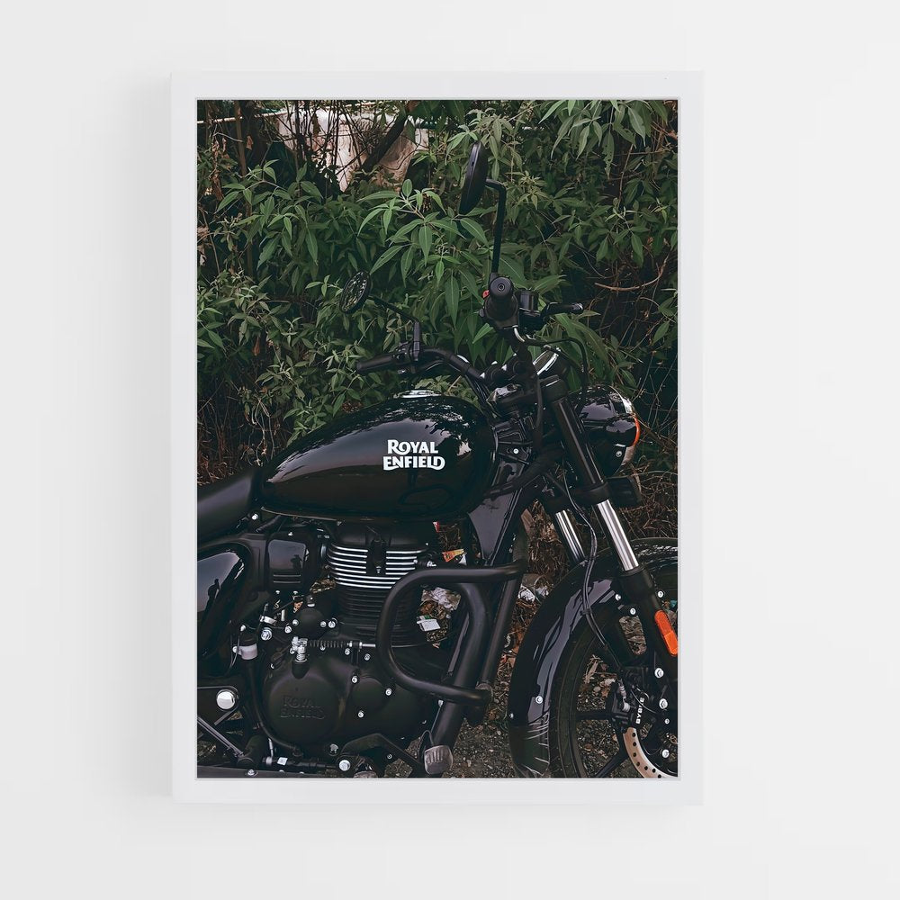 ap-meteor 350-4 cadre Blanc