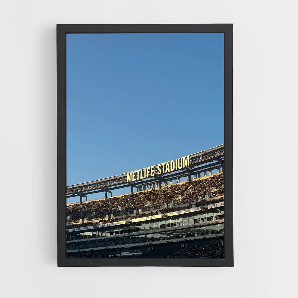 ap-metlife-5 cadre Noir