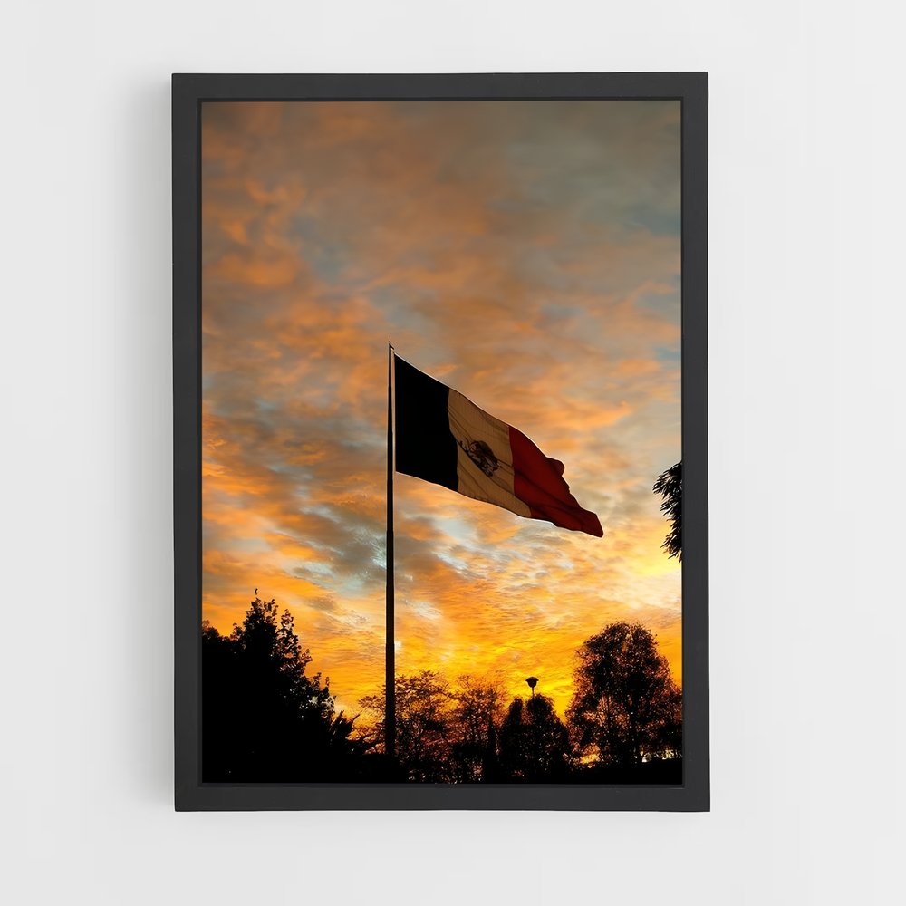 ap-mexico city flag-3 cadre Noir