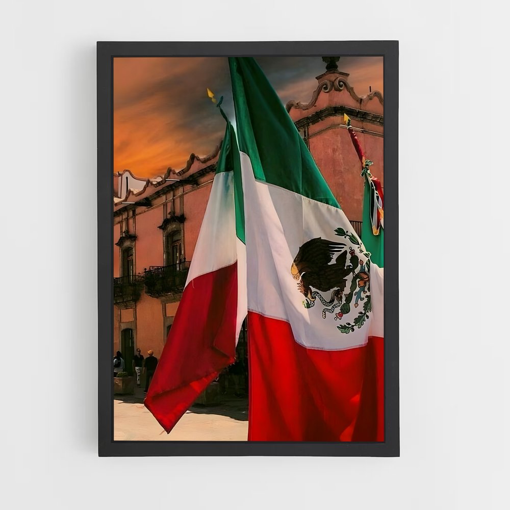 ap-mexico city flag-5 cadre Noir