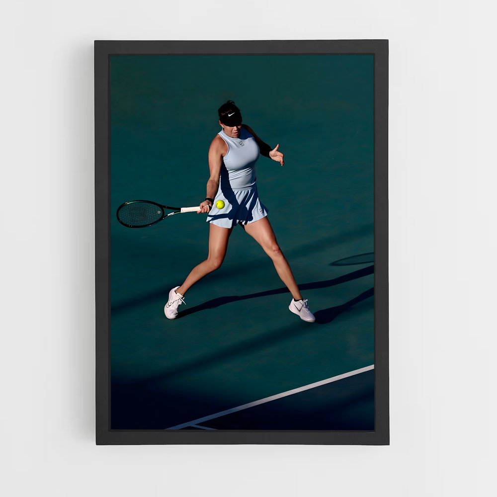 ap-miami open tennis-7 cadre Noir