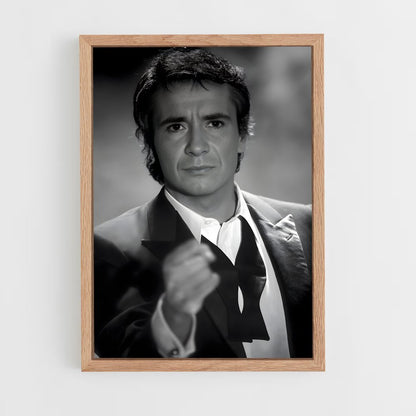 ap-michel sardou-2 cadre Bois clair