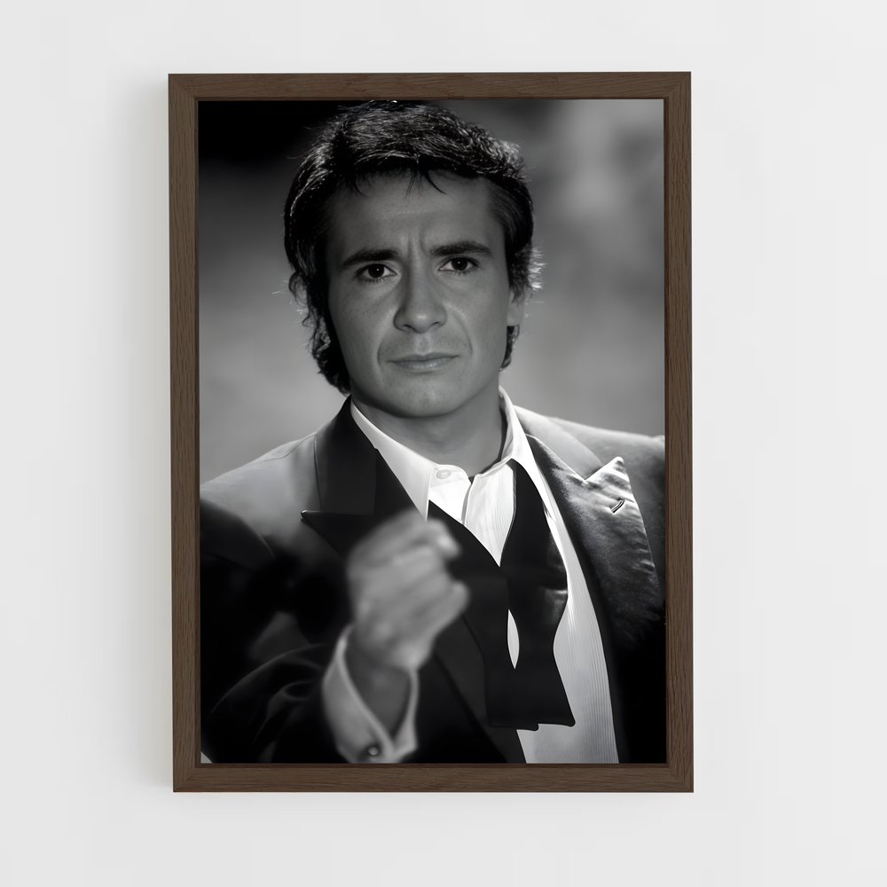ap-michel sardou-2 cadre Bois foncé