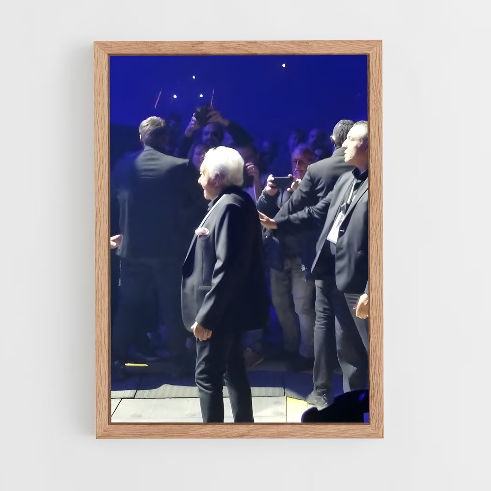 ap-michel sardou-3 cadre Bois clair