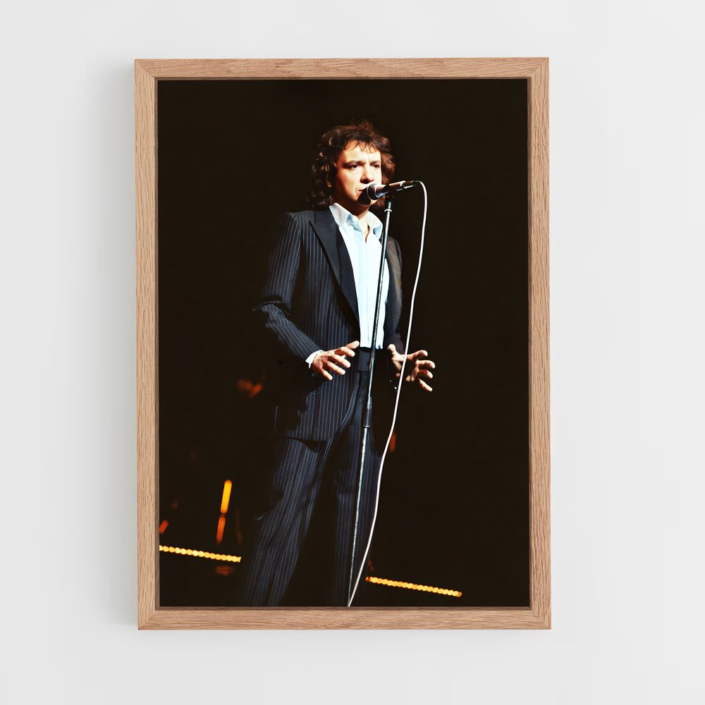 ap-michel sardou-4 cadre Bois clair