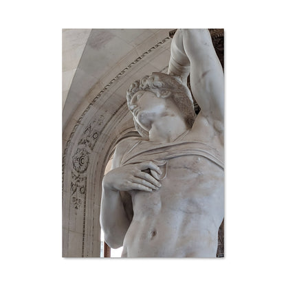 Poster Michelangelo 19016