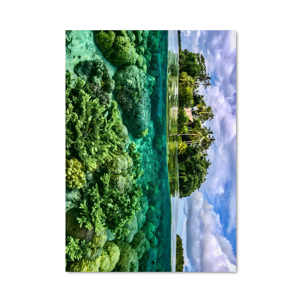 Poster Micronesia 93493