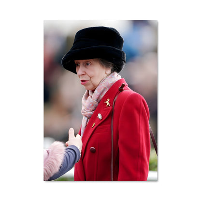 Poster Une Rencontre Royale