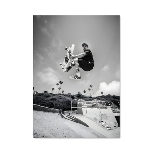 Poster Mike vallely 68103