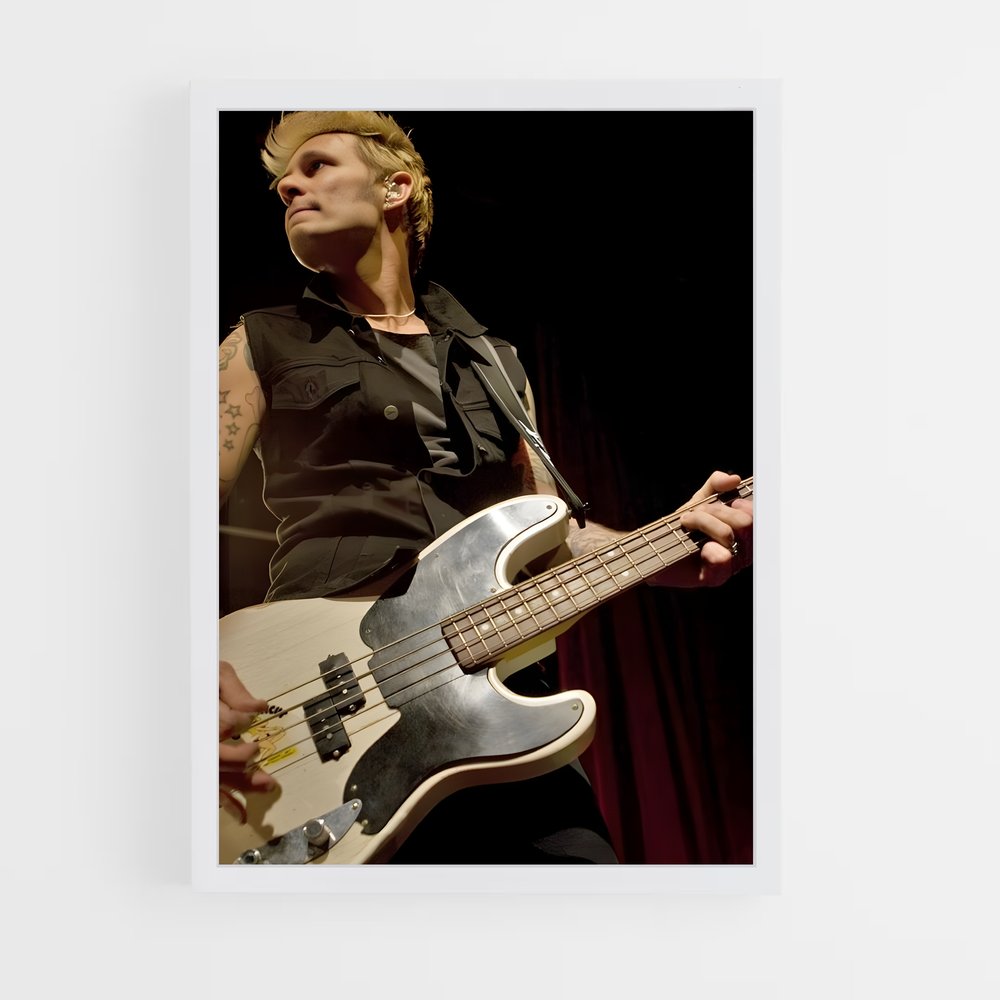 ap-mike dirnt-1 cadre Blanc
